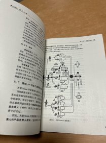 精益和敏捷开发大型应用指南