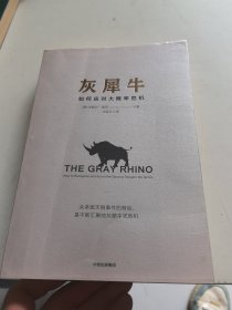 灰犀牛：如何应对大概率危机
