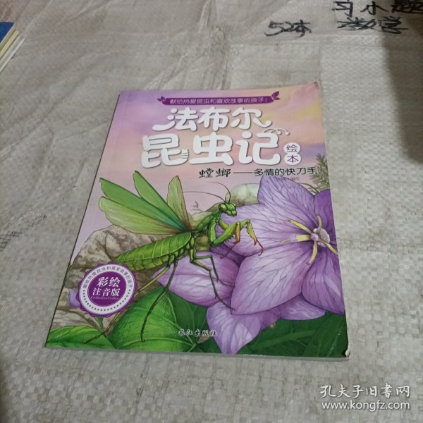 短翅芫菁：虚伪的绅士（彩绘美图版）/法布尔昆虫记绘本