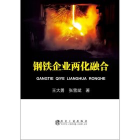 钢铁企业两化融合 王大勇,张雪斌 冶金工业出版社