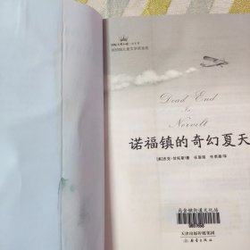 诺福镇的奇幻夏天