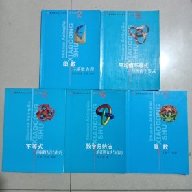 数学奥林匹克小丛书：不等式的解题方法与技巧（高中卷5）