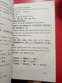 汉语语法  （上册）
新疆师范大学中语系
油印本
新疆少数民族新语言教材  珍贵的资料