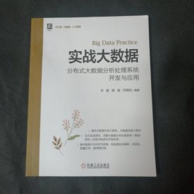 实战大数据 分布式大数据分析处理系统开发与应用