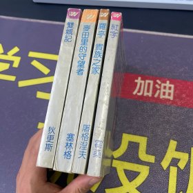 外国文学名著精品：双城记、麦田里的守望者、罗亭 贵族之家、红字 霍桑作品集4本合售