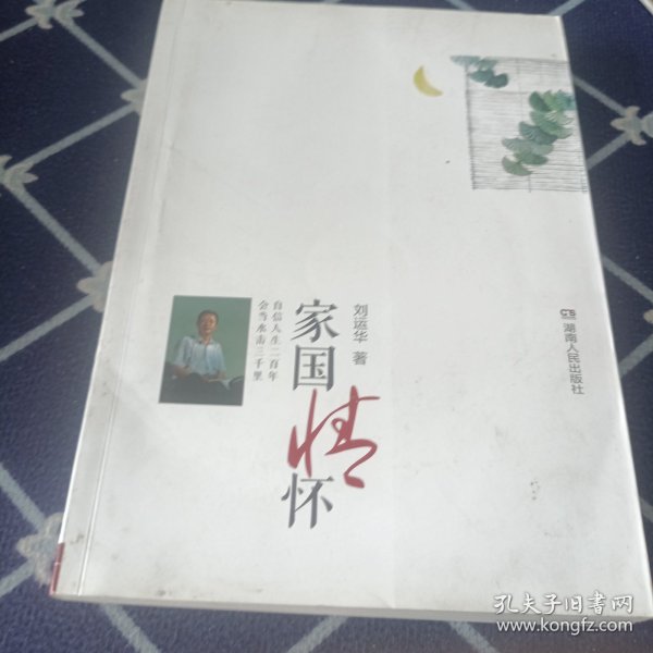 家国情怀