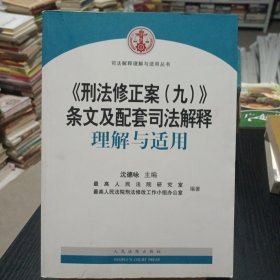 《刑法修正案（九）》条文及配套司法解释理解与适用