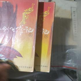 沉剑飞龙记  上下册