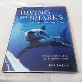 DIVING WITH SHARKS and other Adventure Dives  与鲨鱼一起潜水和其他冒险潜水