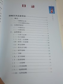 锦鲤饲养手册
