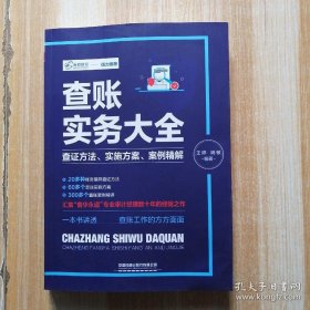 查账实务大全：查证方法、实施方案、案例精解