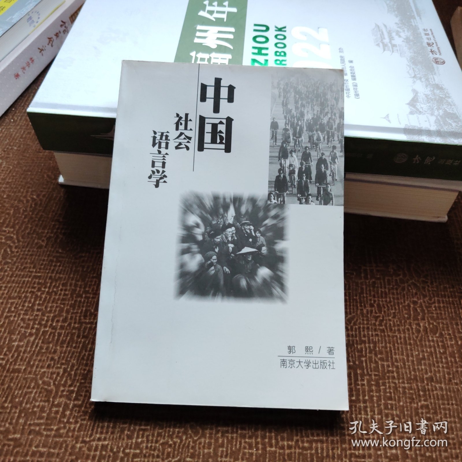 中国社会语言学