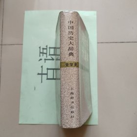 中国历史大辞典：史学史