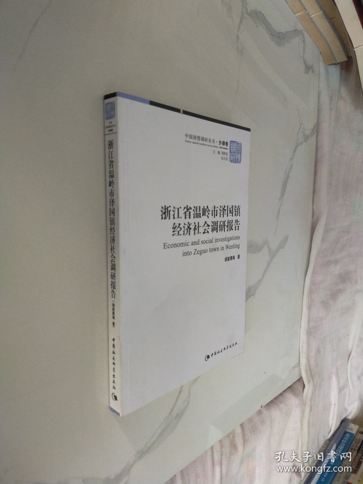 浙江省温岭市泽国镇经济社会调研报告