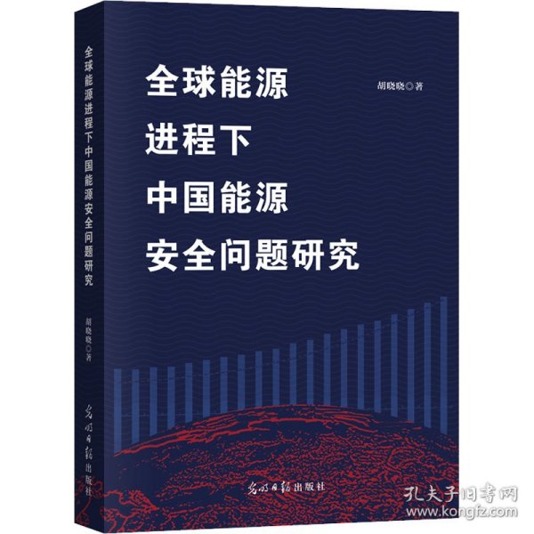 全球能源进程下中国能源安全问题研究