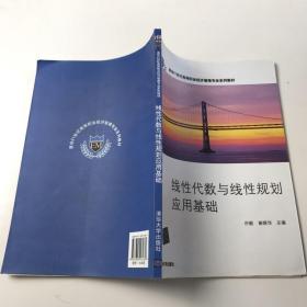 线性代数与线性规划应用基础（清华21世纪高等职业经济管理专业系列教材）