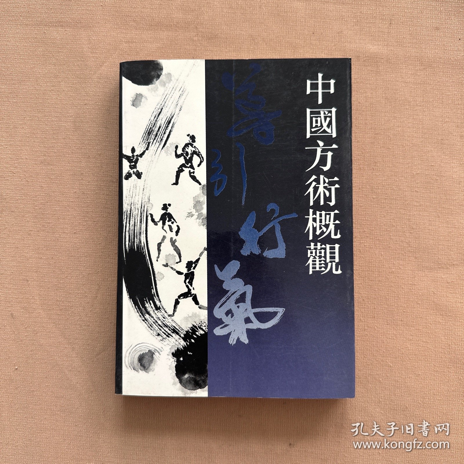 中国方术概观.导引行气卷