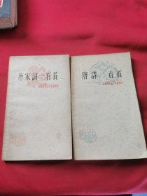 中国古典文学作品 唐诗一百首 唐宋词一百首（2册）