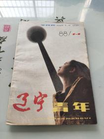 辽宁青年1988年第14期