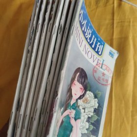 小小说月刊2017年3下、4上下、9上、2018年2上下、5上、8下2020年9下 共9本合售