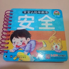 安全