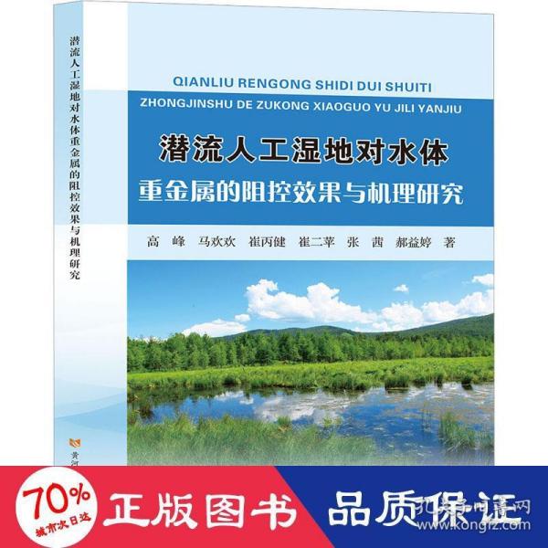 潜流人工湿地对水体重金属的阻控效果与机理研究