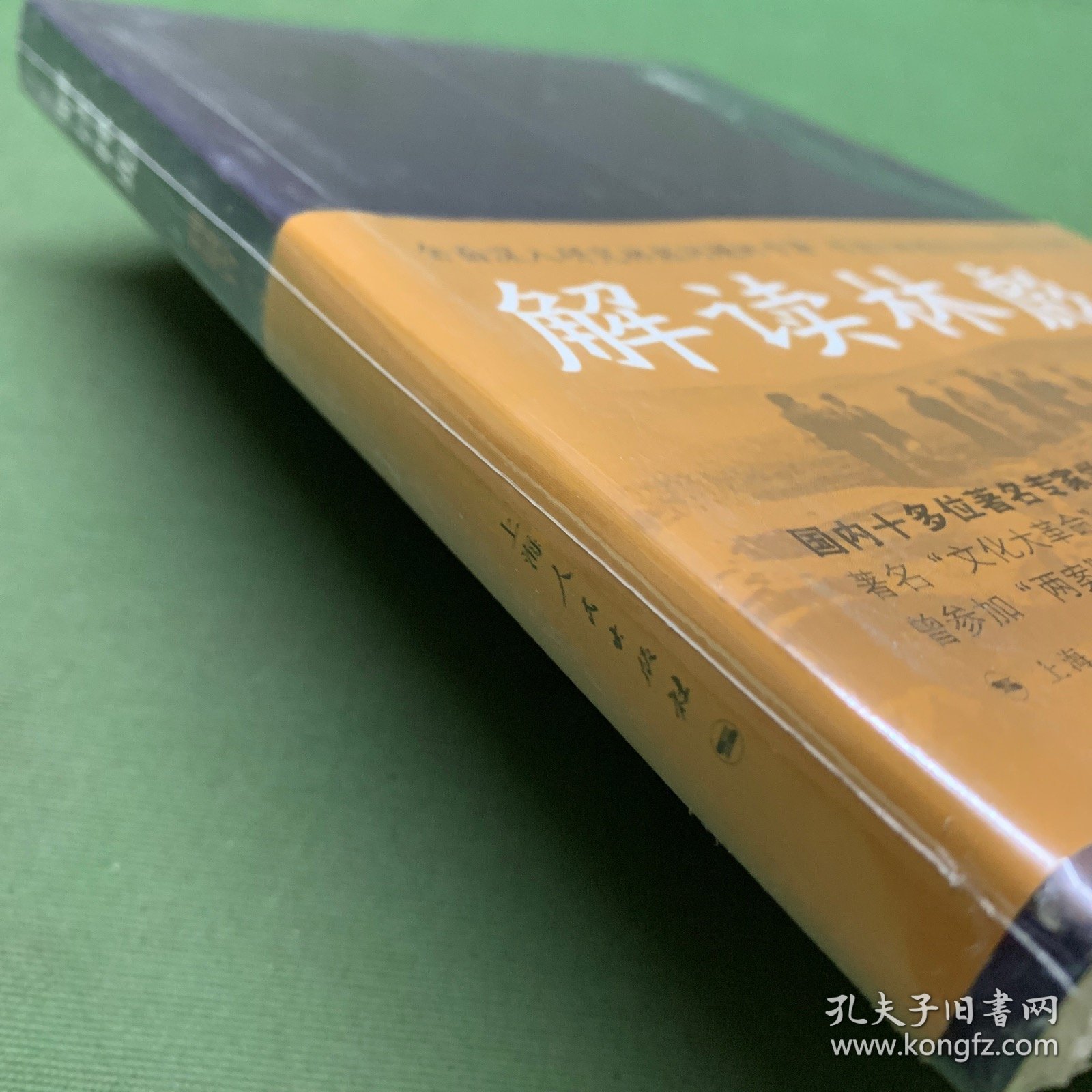 解读林彪："九一三"事件与林彪集团的覆灭