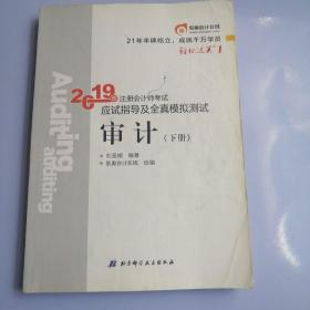 注会会计职称2019教材辅导东奥2019年轻松过关一《2019年注册会计师考试应试指导及全真模拟测试》审计（上下册）