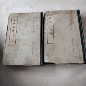 景岳全書