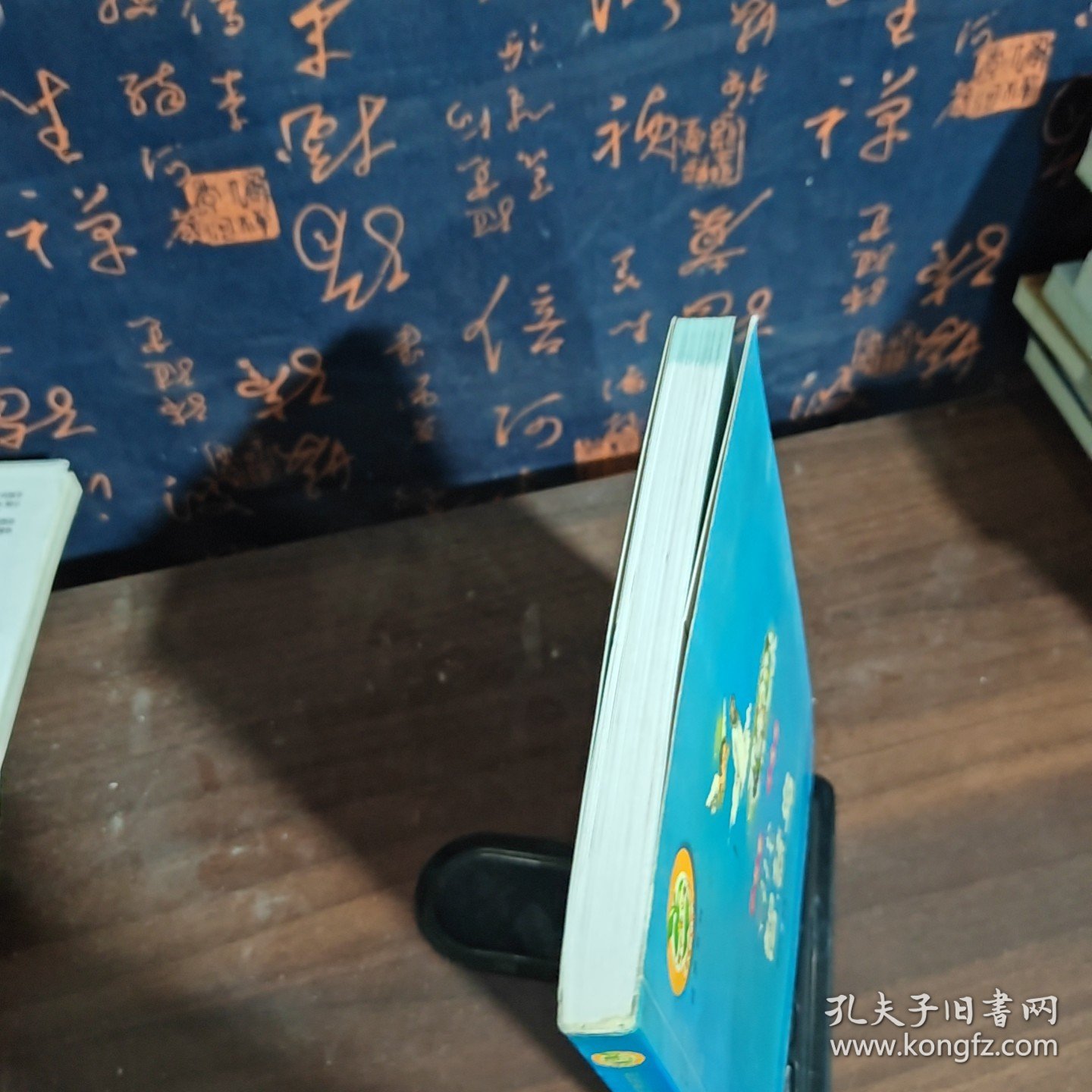 寻找智慧鸟