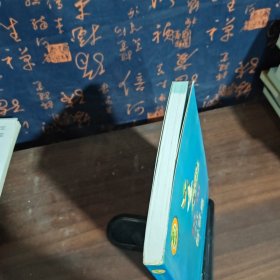 寻找智慧鸟