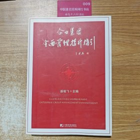 企业集团全面管理提升指引