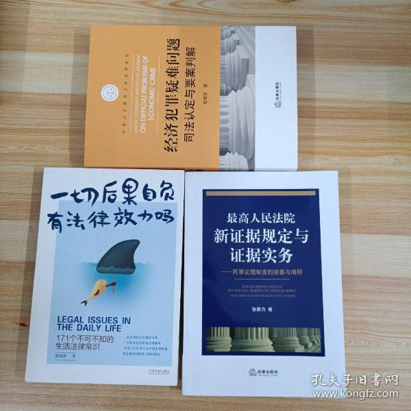 最高人民法院新证据规定与证据实务：民事证据制度的完善与阐释