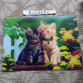 两只小猫、鲜花、栅栏（塑料立体画）