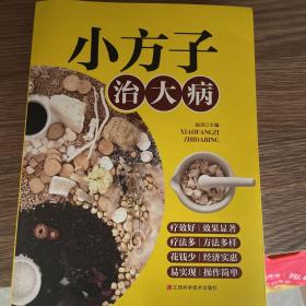 小方子治大病   中医书籍养生偏方大全民间老偏方美容养颜常见病防治 保健食疗偏方秘方大全小偏方老偏方中医健康养生保健疗法