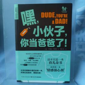 嘿，小伙子，你当爸爸了！：手忙脚乱的第一年新爸爸怎么做？未翻阅