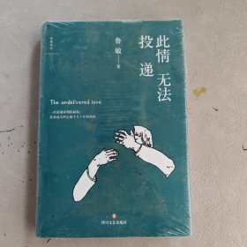 此情无法投递（苏童、李敬泽、孟繁华联袂推荐。“鲁敏站在中国小说艺术的前沿。”）