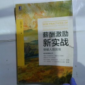 薪酬激励新实战：突破人效困境