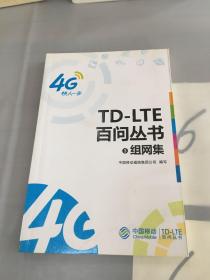 TD-LTE白问丛书3组网集。