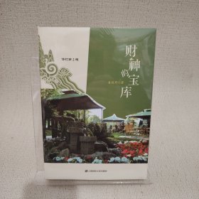 心灵流的后现代派长篇小说：财神的宝库（修订第2版）