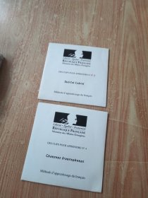 DES CLIPS POUR APPRENDRE N （光盘2张）