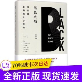 黑色火焰：20世紀美國黑人小說史