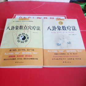 八卦象数疗法+八卦象数点穴疗法 （2册合售）