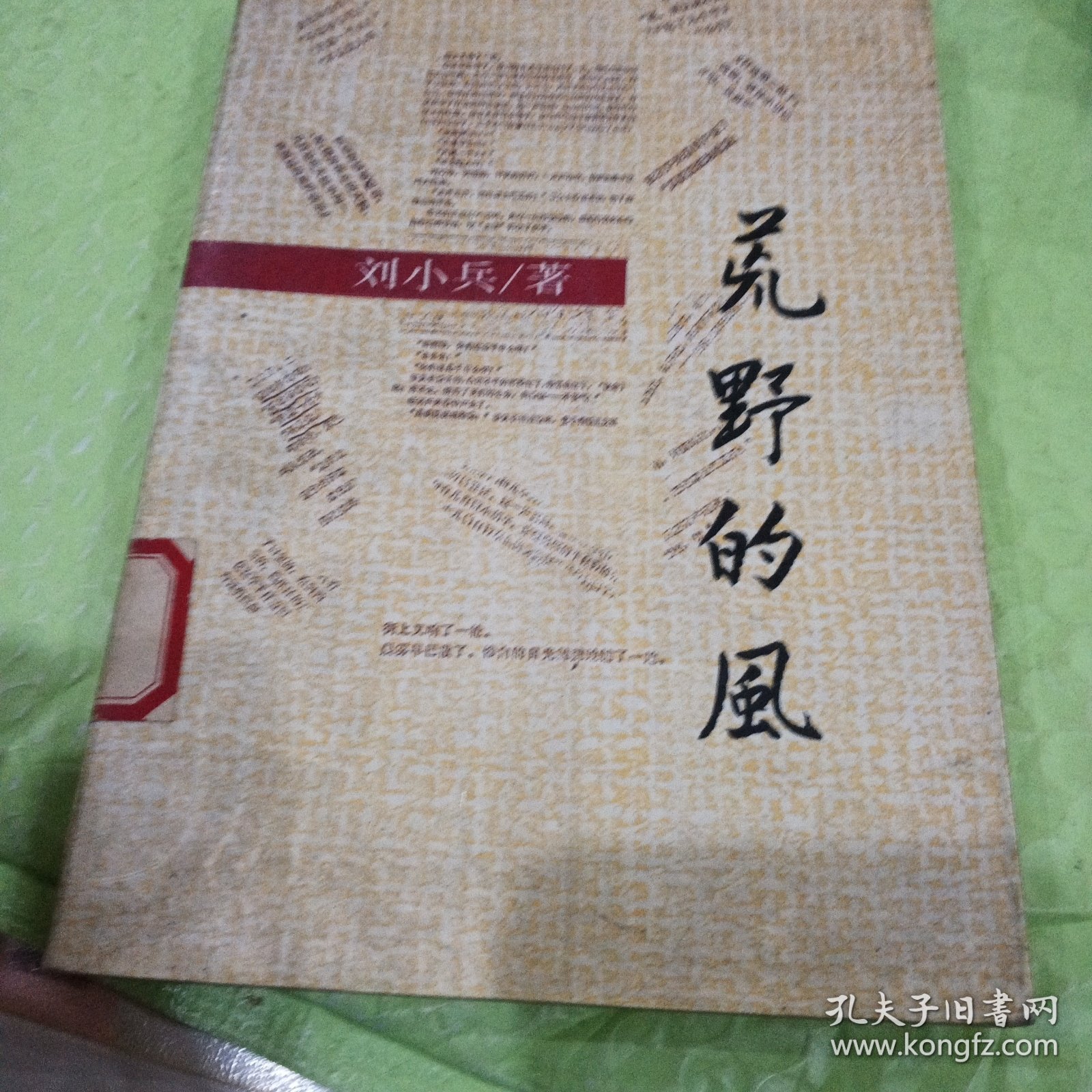 荒野的風，刘小兵小说