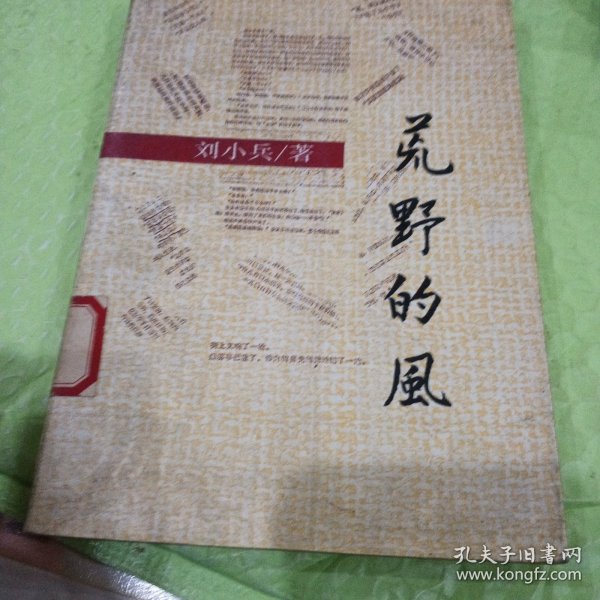 荒野的風，刘小兵小说