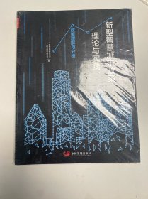 新型智慧城市政策、理论与实践：政策理解与分析