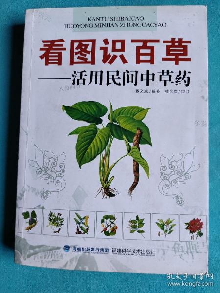 看图识百草：活用民间中草药