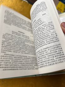 元明清诗鉴赏辞典：辽金元明