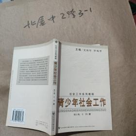 青少年社会工作 史柏年 / 社科文献出版社