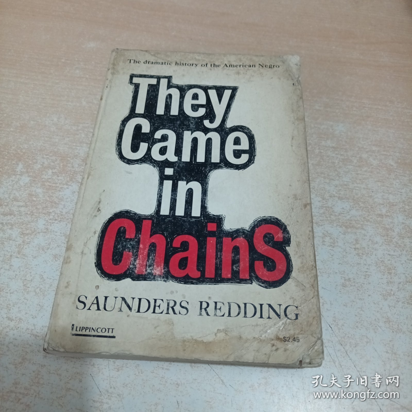 They came in chains;: Americans from Africa